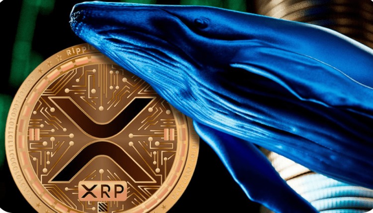 XRP鲸鱼大规模囤积复苏在即