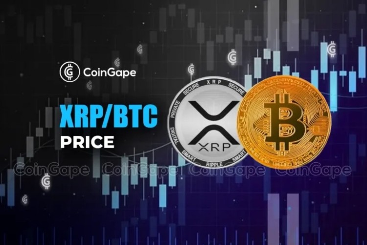 XRP/BTC预测：比特币鲸鱼流入XRP价格涨势放缓(xrp和比特币)